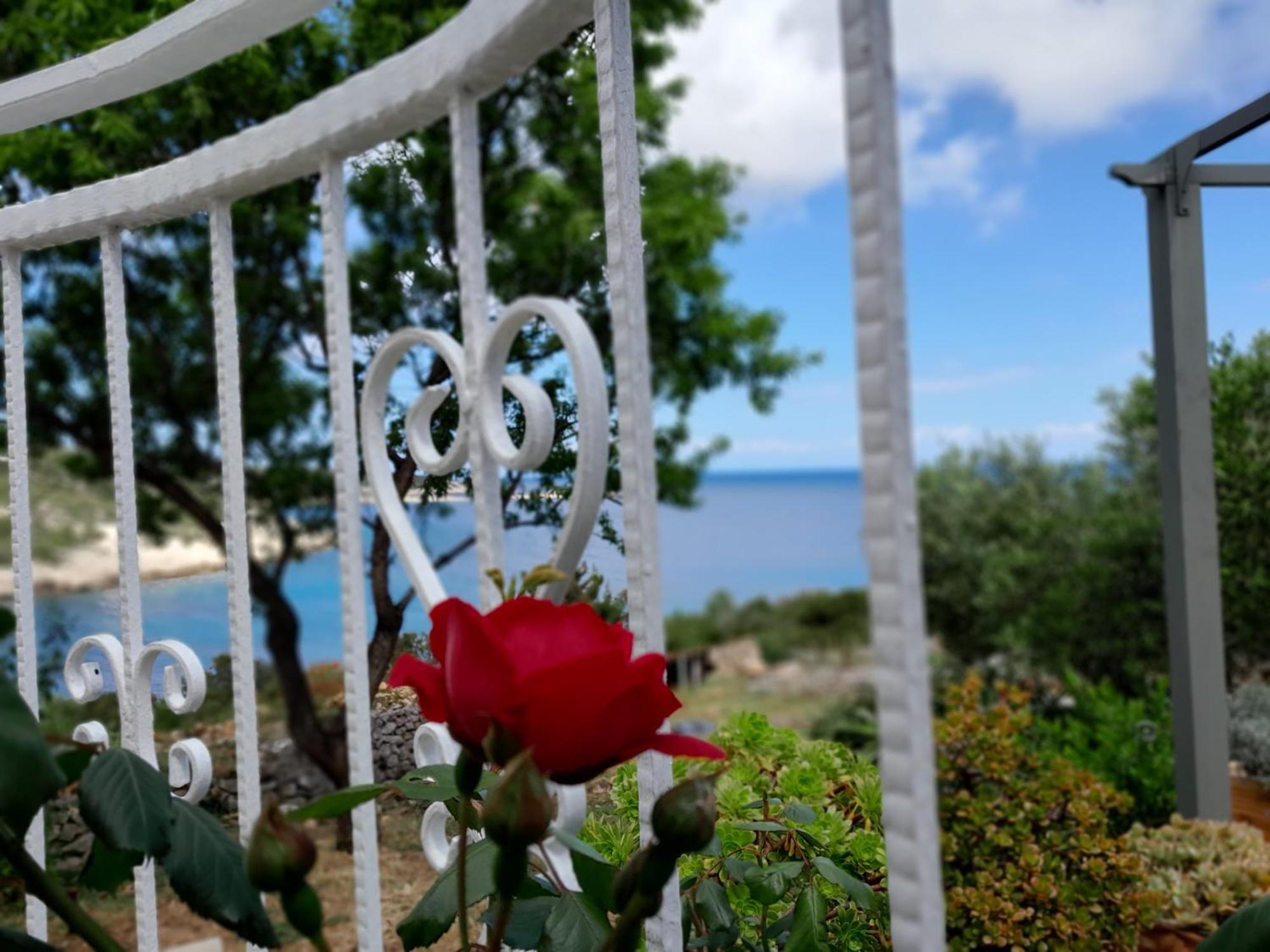 Moja Posebna Kuca Na Osami Kraj Mora Villa Vis Esterno foto